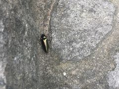 -舟山希尔顿酒店