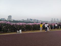 -南宁南湖公园