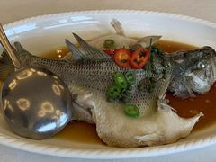 清蒸鲈鱼-湛江菜.江南首席(昆山店)