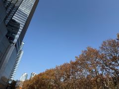 -金茂览秀城