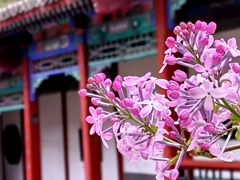 -北海公园