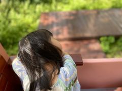 -黄海国家森林公园