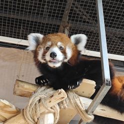 -Zoolung Zoolung动物主题公园(海信广场店)