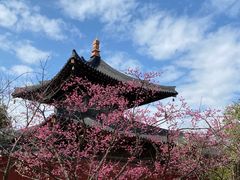 -广富林郊野公园