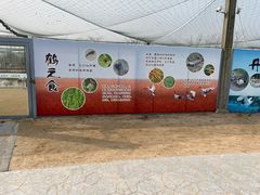 -盐城丹顶鹤湿地生态旅游区