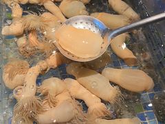 -新荣记(椒江店)