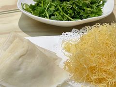 -丁老爷子苏香圆