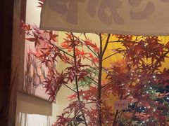 -炉胜·炉端烧·居酒屋