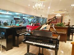 -柏斯音乐艺术中心·钢琴·吉他(世纪金源店)