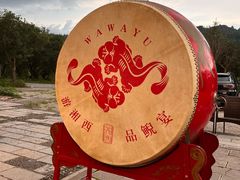 -印象鲵宴·张家界地标美食名片(溪布街店)