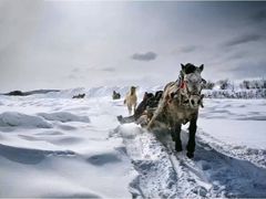 -北极村旅游风景区