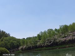 -丁香湖公园