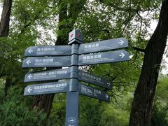 -延安杨家岭革命旧址