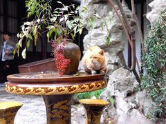 -西园寺