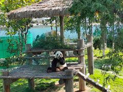 -西霞口神雕山野生动物世界