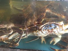 -蟹之国·精品蟹料理(极地店)