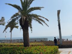 -大梅沙海滨公园