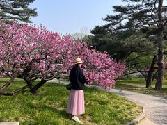 -北京植物园南门售票处