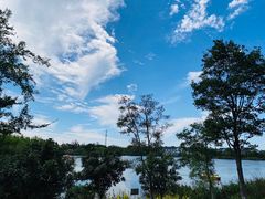 -上海长兴岛郊野公园