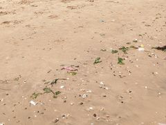 -东戴河风景区-止锚湾