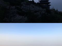 -泰山风景名胜区