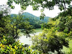 -广州白江湖森林公园