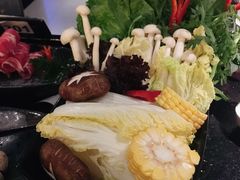 -捞王猪肚鸡火锅(财富中心店)
