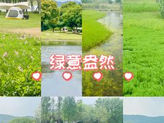 -长广溪湿地公园