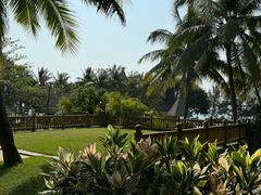 -海南清水湾莱佛士酒店