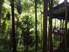 -青城山