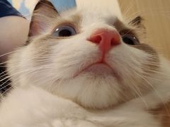 -探鱼·鲜青椒爽麻烤鱼(番禺万达店)