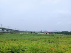 -光明小镇欢乐田园