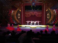 -珠海横琴长隆《卡卡虎奇遇记》