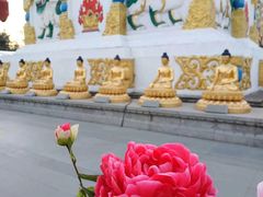 -护国法轮寺