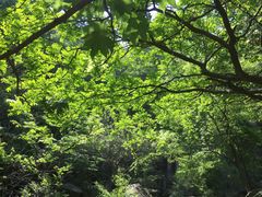 景点-连云港云龙涧原生态风景区