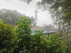 -广州雕塑公园