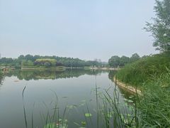 -郑州植物园