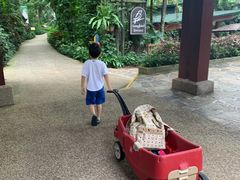 -新加坡飞禽公园