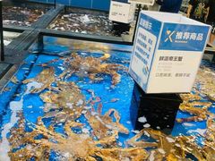 -盒马X会员店(王府井奥莱UP TOWN店)