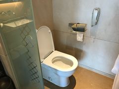 -广州天河合景福朋喜来登酒店