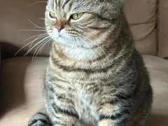 -福荣居褡裢火烧京味家常菜(西四店)