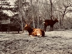 -承德避暑山庄景区