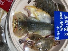 -陈鹏鹏潮汕菜(欢乐海岸 海边景观店)