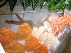 -Mr.Fish鱼鲜生海鲜放题(高德置地冬广场店)
