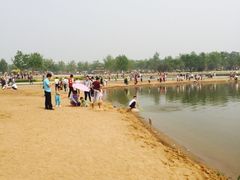 -武清南湖绿博园