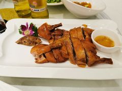 琵琶鸭-骏莱海鲜鱼港(五角场店)