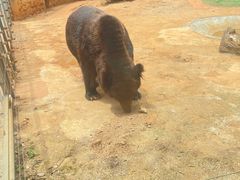 -昆明动物园