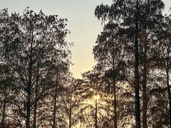 -东湖落雁景区