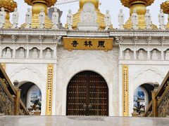 -上海东林寺(金山区)