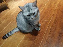 -H立方实景剧情密室(天河旗舰店)